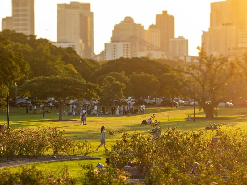Sunlit park with green lawns, flowering gardens, and people relaxing with city skyline in background at New Farm