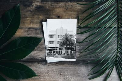 old photo of white building on wooden table with tree branches