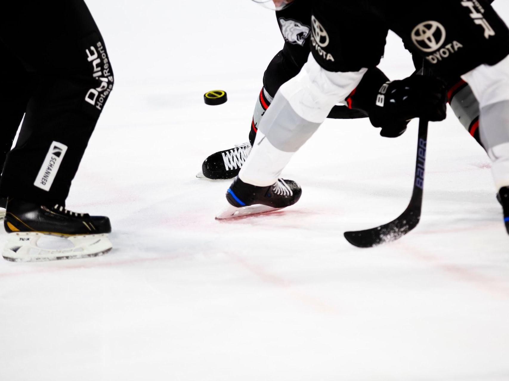 Ice hockey game at SAP center near Hotel Keen