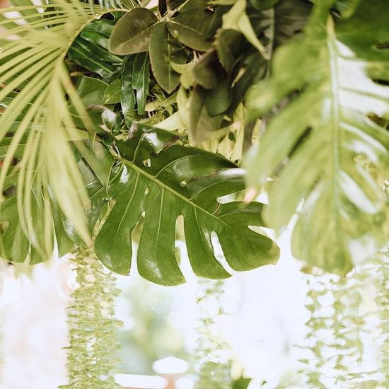 Decorations for wedding at Pullman Palm Cove Sea Temple Resort