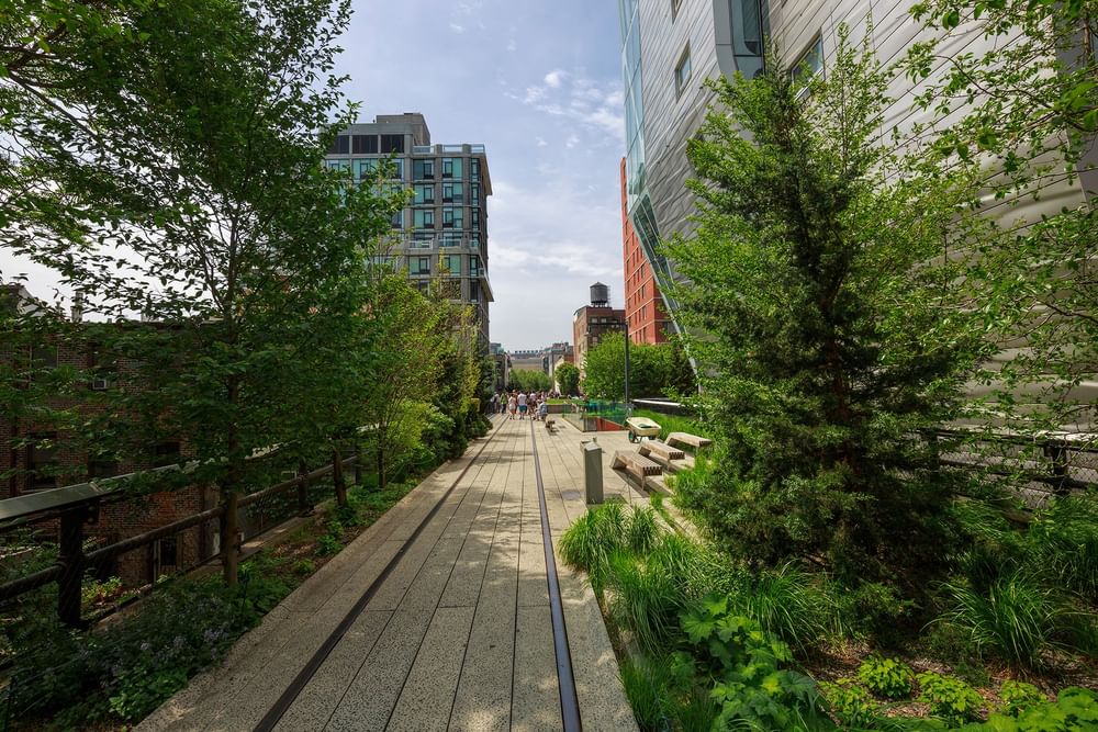 section of The High Line, a popular elevated linear park located in Manhattan near Warwick New York