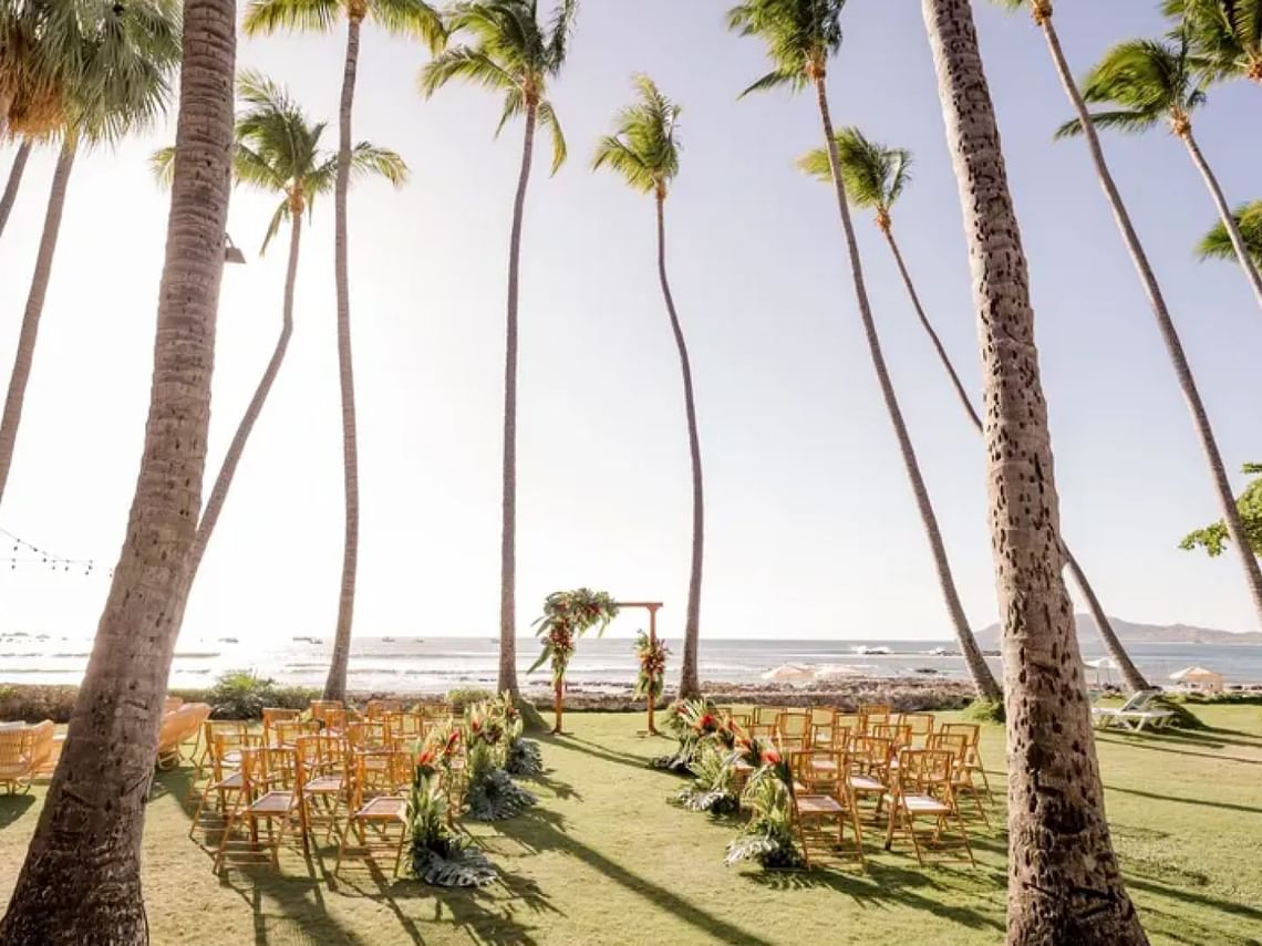 Jardines Frente al Mar | Tamarindo Diria Beach Resort