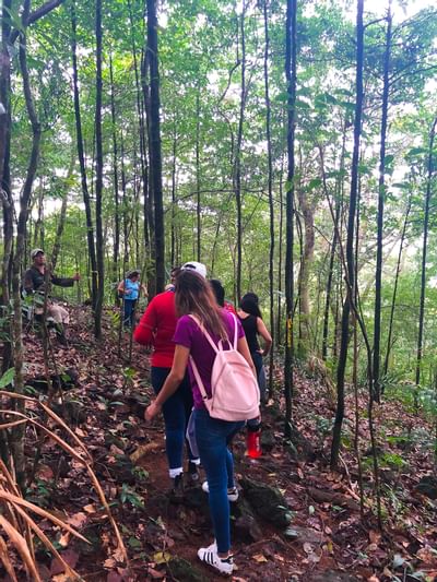 Grupo de senderismo por la selva tropical