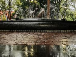 Coyoacán Centro located near Wyndham Grand Mexico