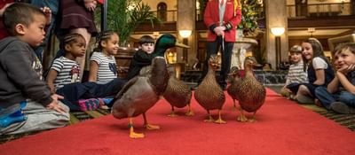 A bunch of kids looking at Peabody ducks in Peabody Hotels