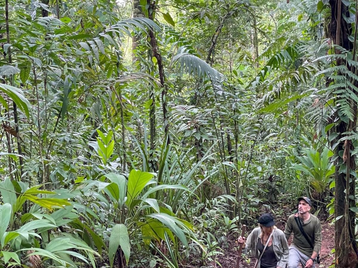 Pareja caminando en el bosque lluvioso cerca de Playa Cativo Lodge