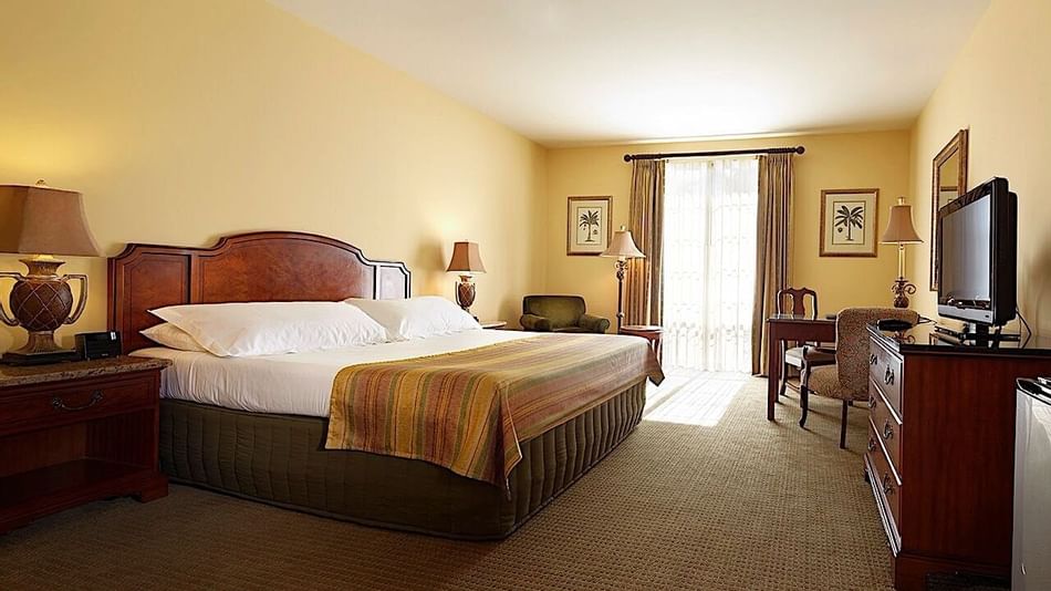 deluxe guest bedroom