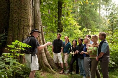 Guide walks group of people through forest