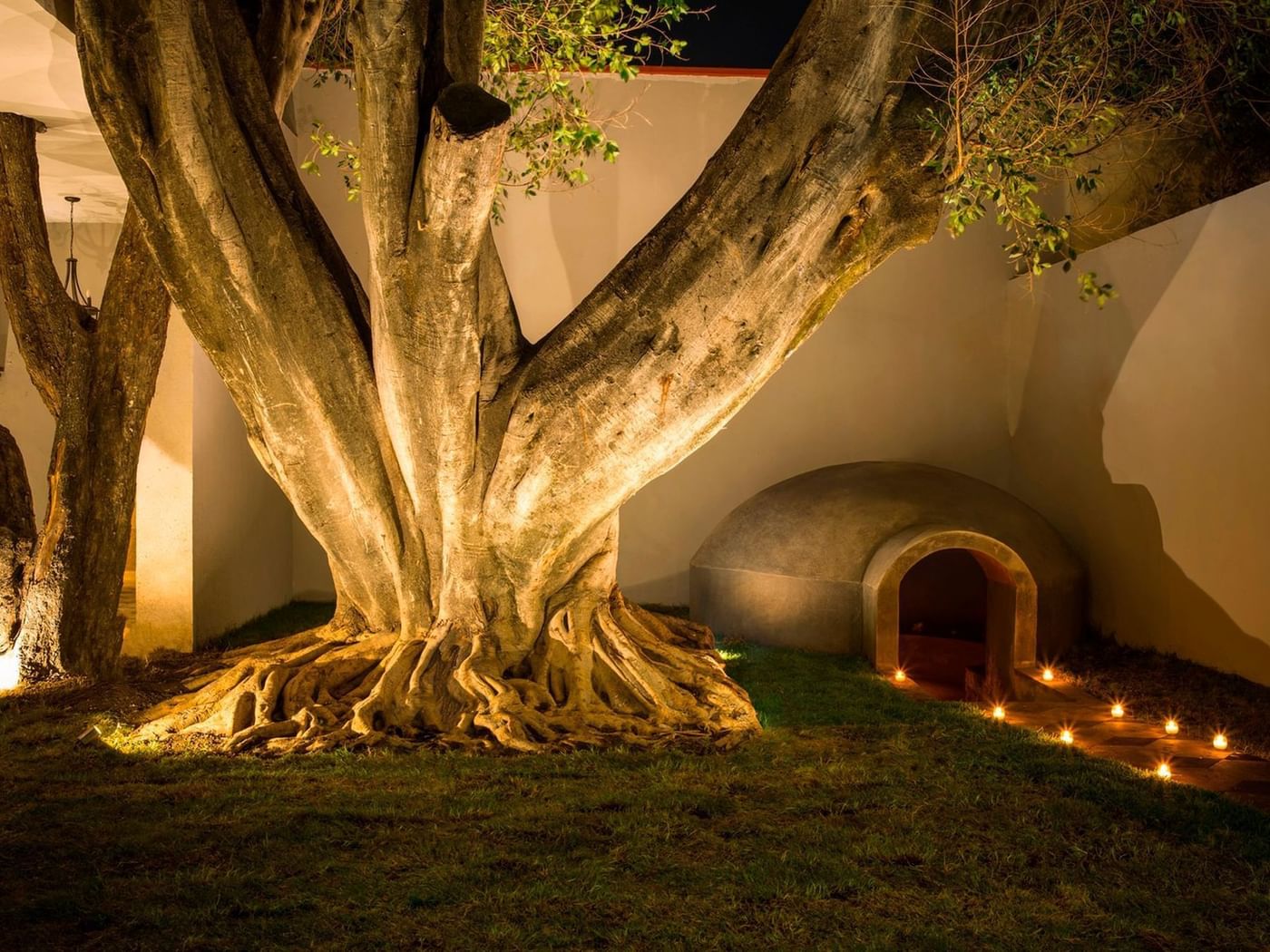 Illuminated candles by a tree in Wellness Ritual Temazcal at Fiesta Americana