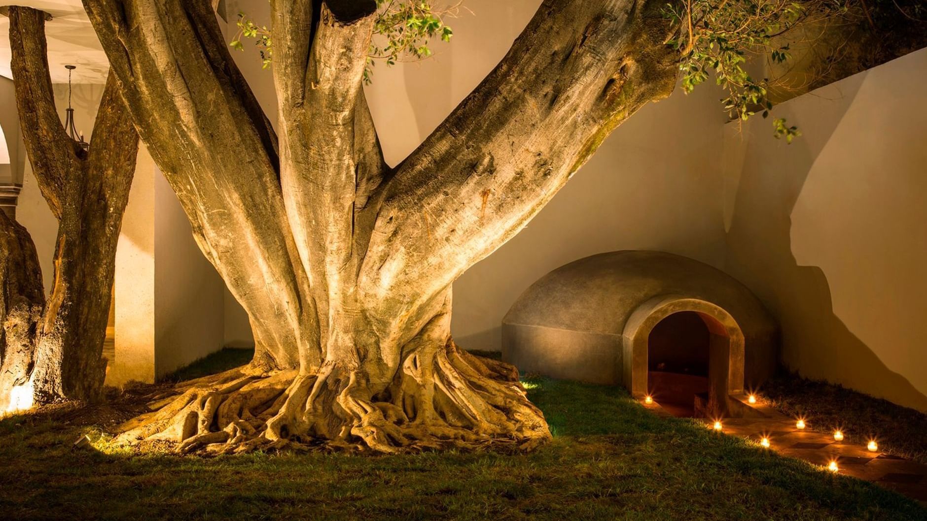 Illuminated candles by tree in Wellness Ritual Temazcal at Fiesta Americana