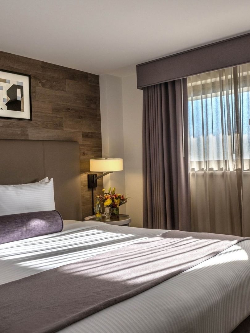 White bed with purple bolster under art on a wood wall by a sunlit window in Premier Suite at Warwick Denver