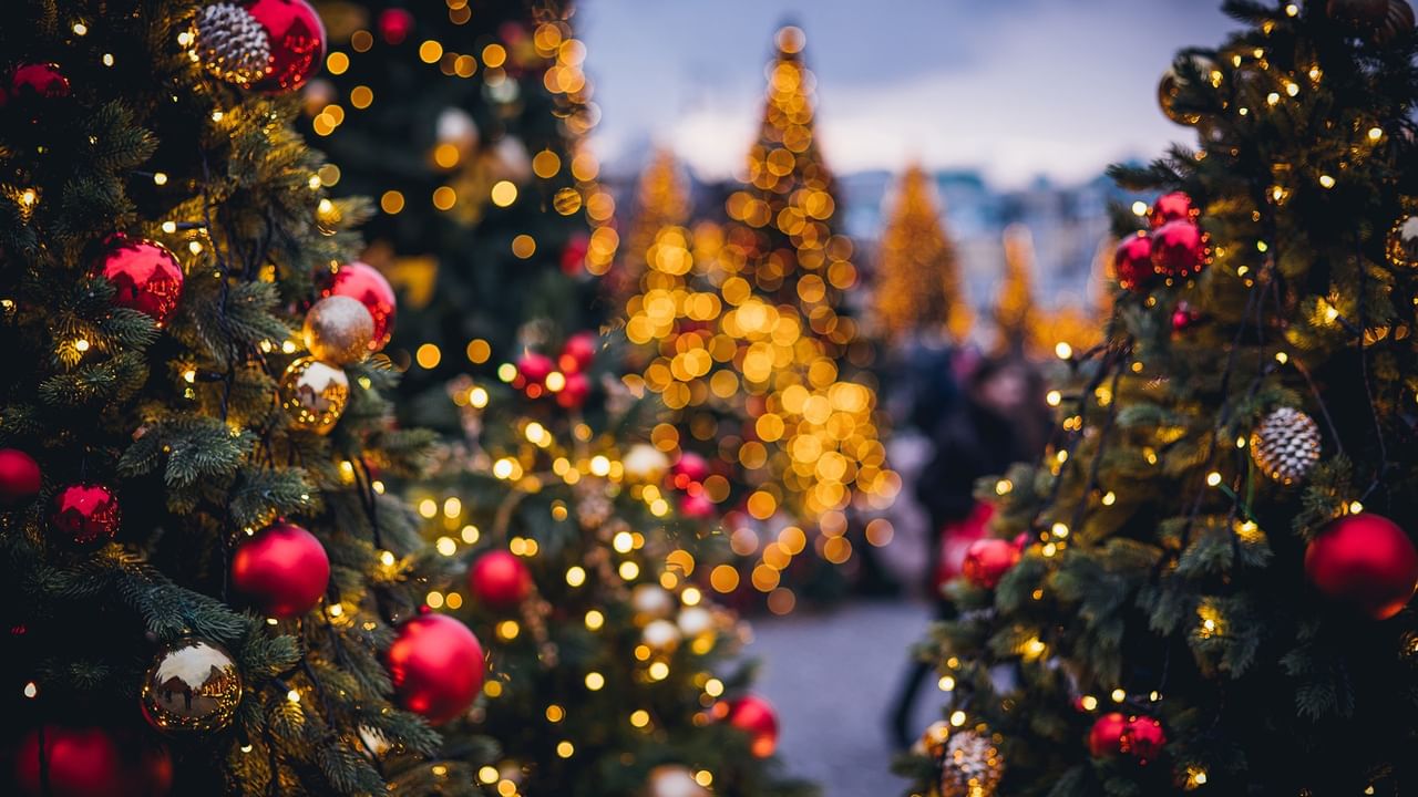 Decorated Christmas trees with lights and ornaments, with blurred people walking in the background.