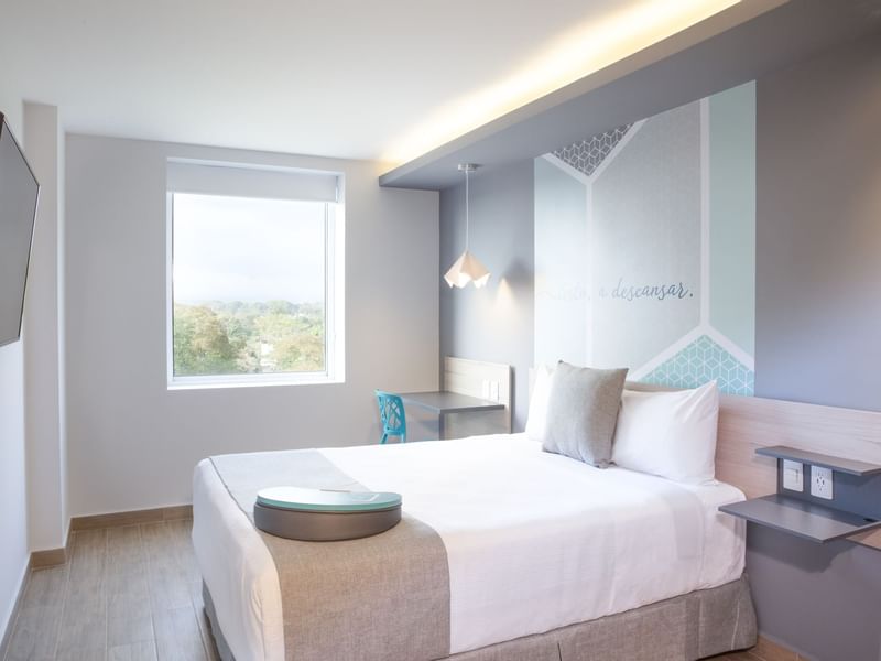 Interior de la habitación Superior Queen en One Hotels