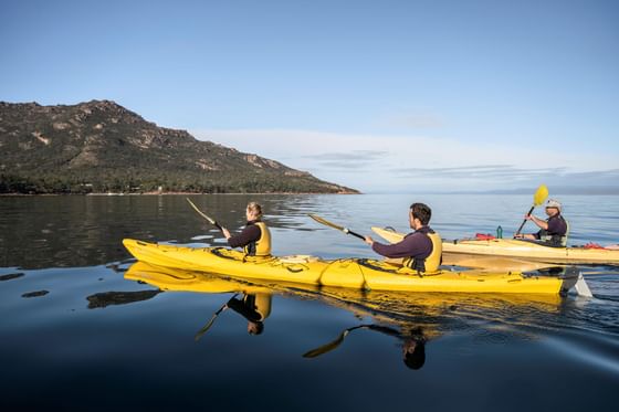 People paddling yellow kayaks on calm water near Strahan Village