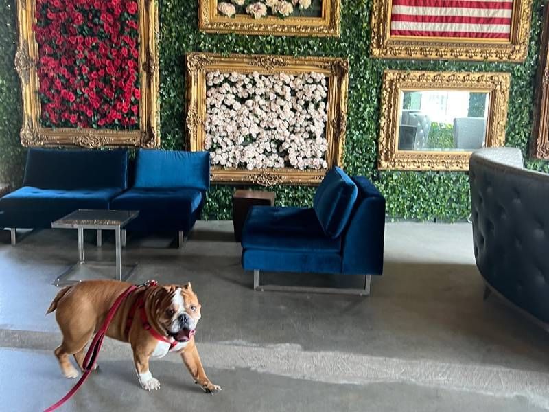 Pet Friendly Asbury Park Hotel Rooms - Berkeley Oceanfront Hotel