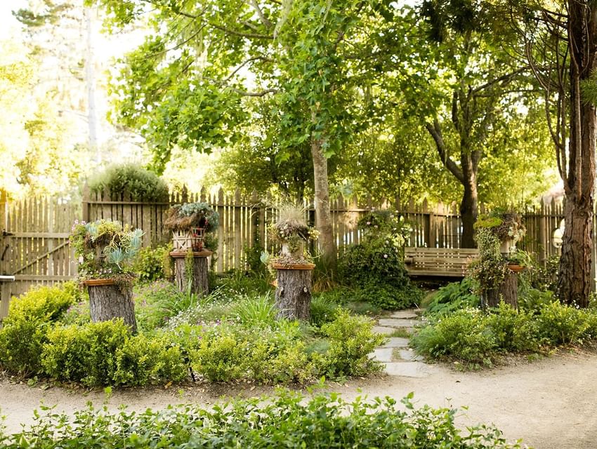 A serene garden with a pathway, wooden fence, bench, and tree stumps with succulents under sunny skies.