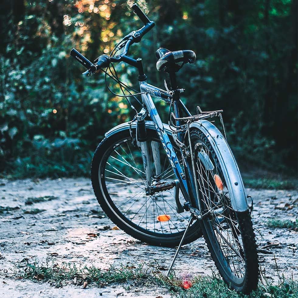 Mountain bike on a forest road near Falkensteiner Hotels