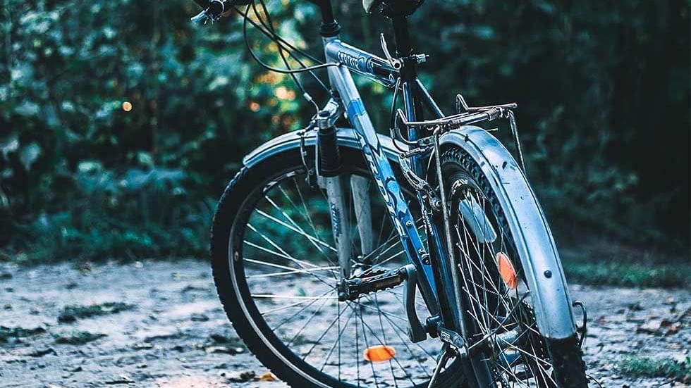 Mountain bike on a forest road near Falkensteiner Hotels