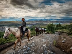 A man leads horses carrying gas tanks near Hoteles Australis