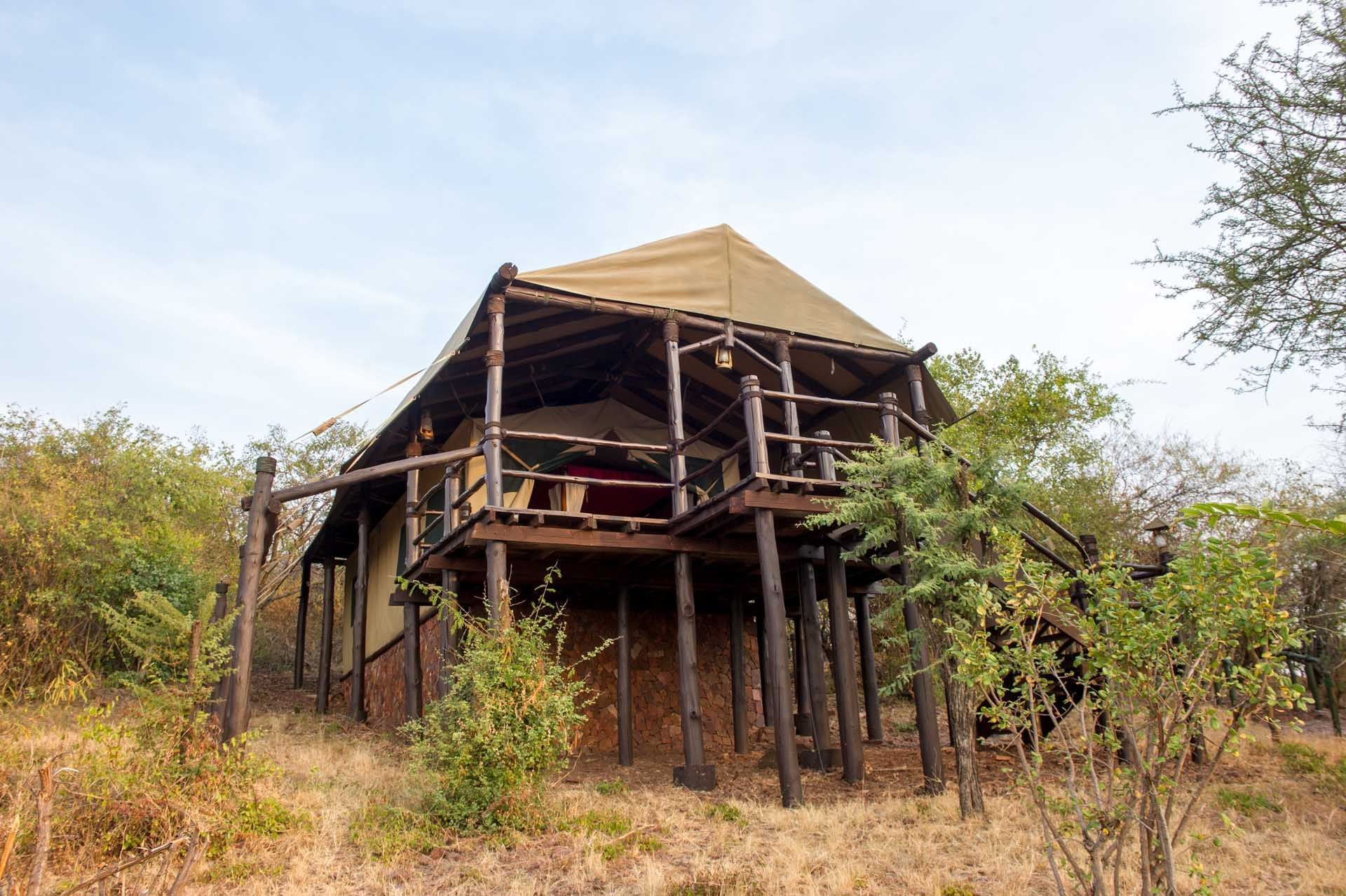 The Call Of The Wild Serengeti | Kirawira Serena Camp Gallery