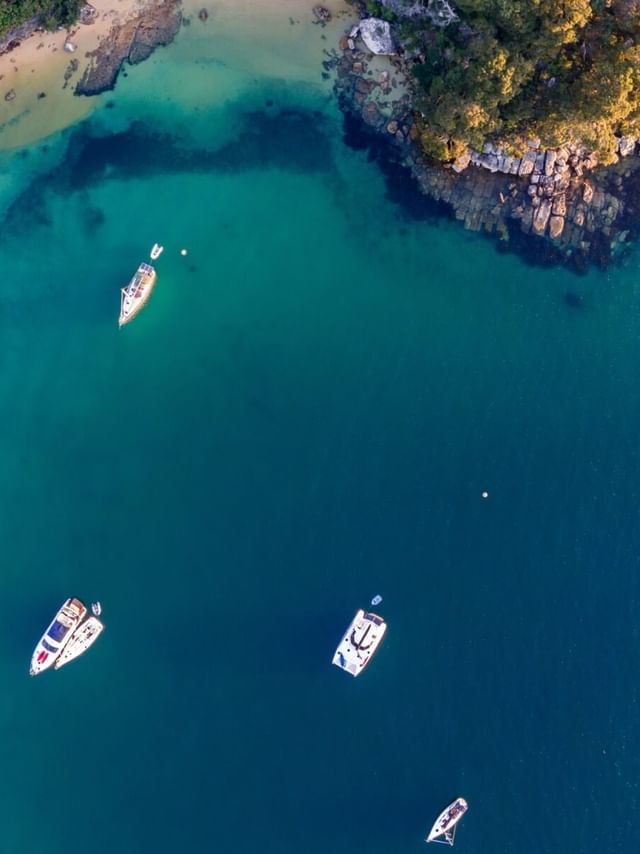 Aerial view of boats at Store Beach, floating in a turquoise bay surrounding rocky green headlands near Elysium Manly