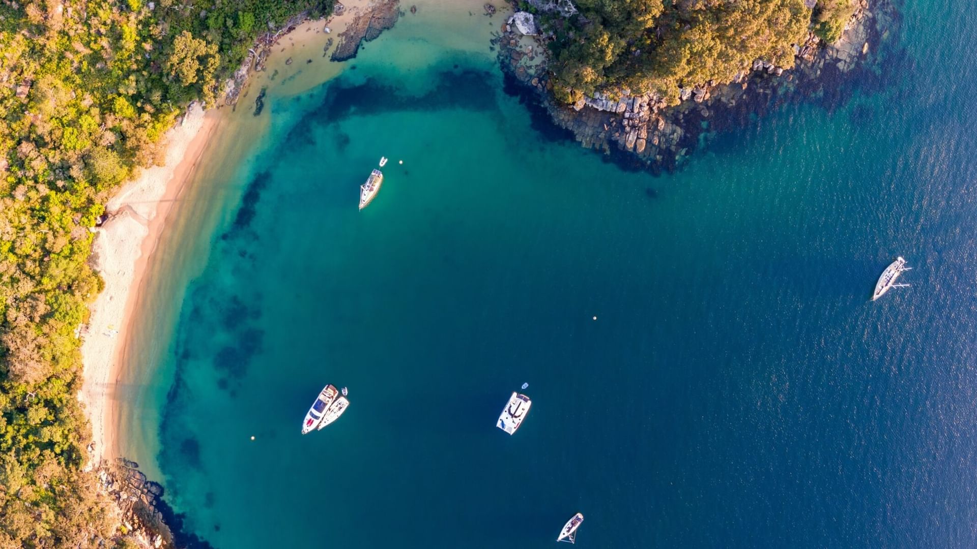 Aerial view of boats at Store Beach, floating in a turquoise bay surrounding rocky green headlands near Elysium Manly