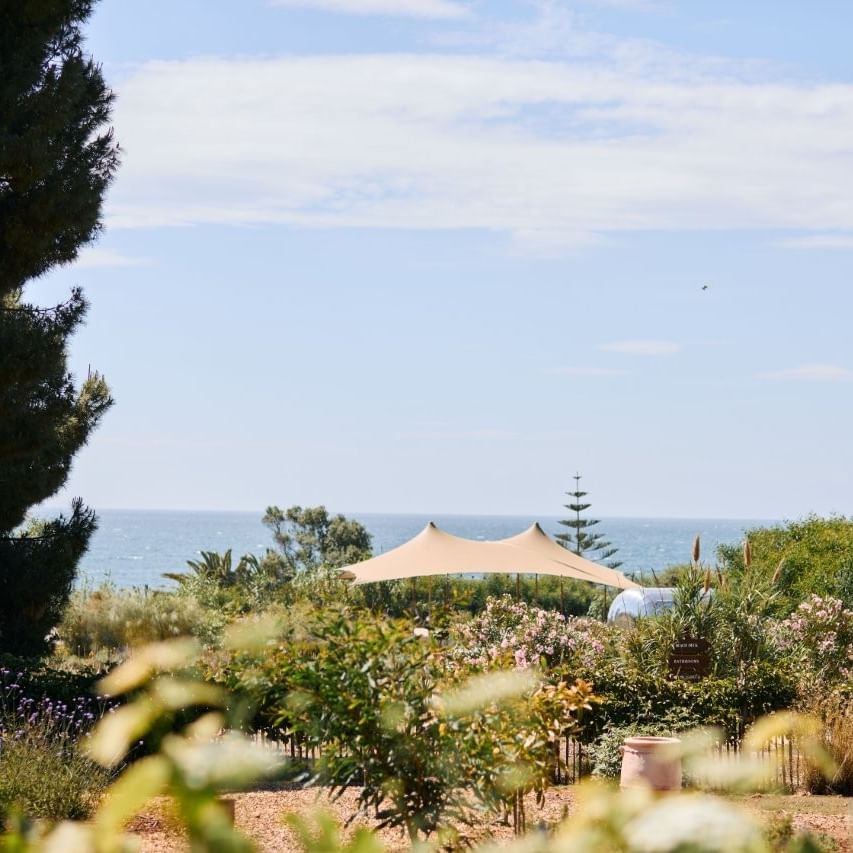 Scenic view of a garden with a beige tent, coastal plants, and ocean in the background.