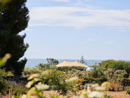 Scenic view of a garden with a beige tent, coastal plants, and ocean in the background.