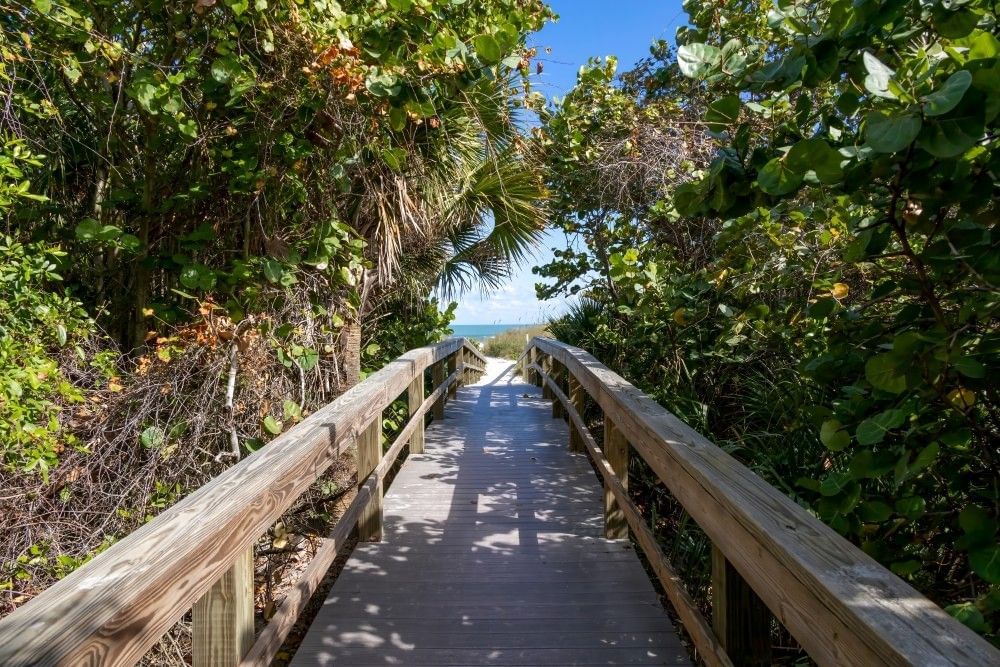 A wooden boardwalk with overgrown trees on either side leading out to a beach.