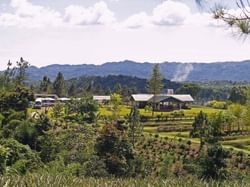 Landscape view of Croydon Plantation & mountains near Holiday Inn Montego Bay