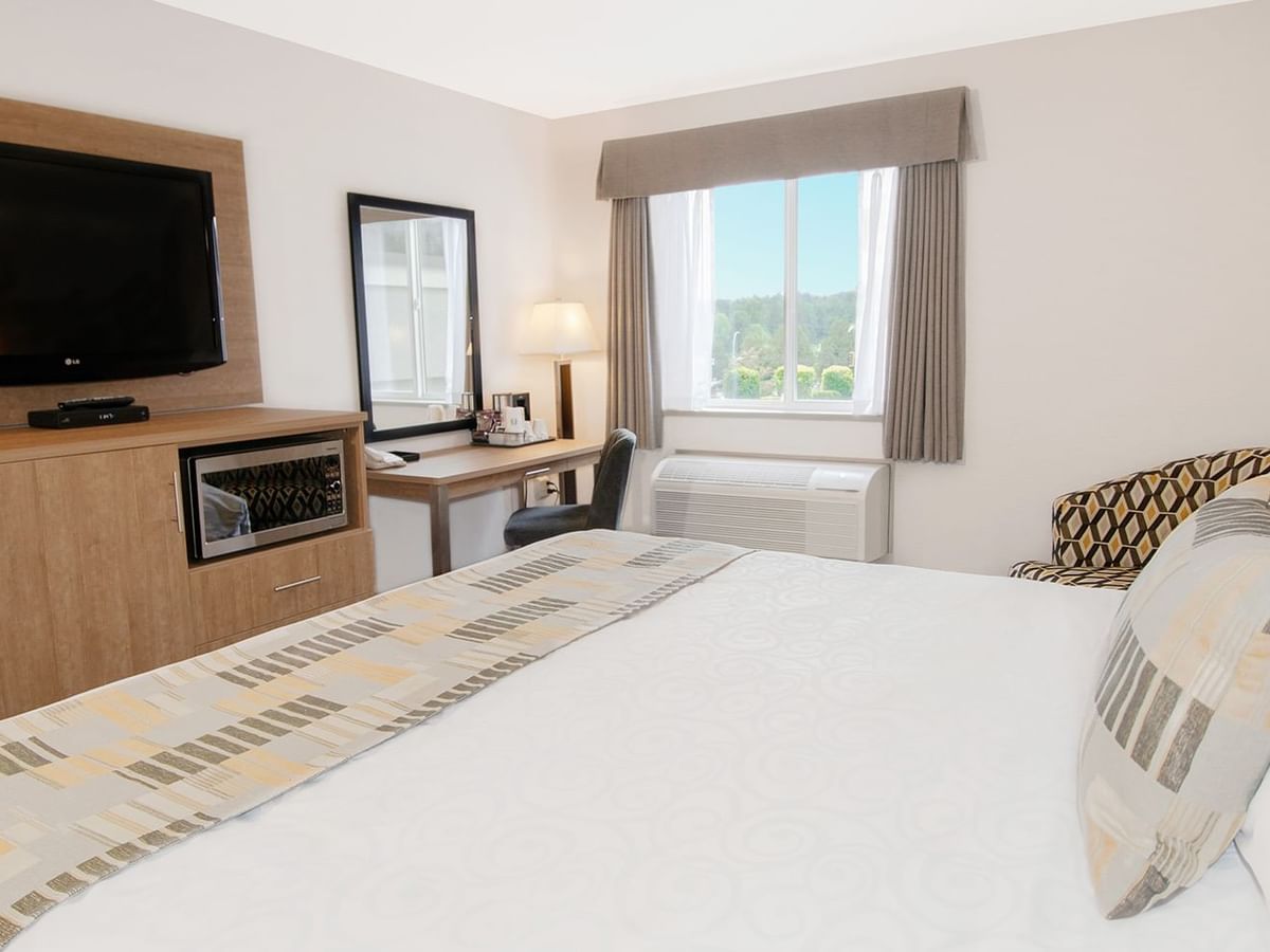 Hotel room with king bed, TV, microwave, chair, mirror, and window