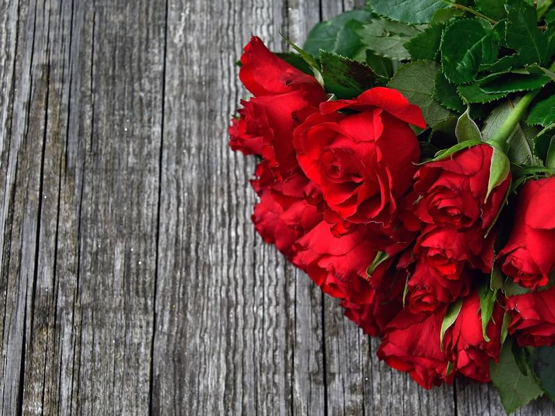 Primer plano de un ramo de rosas rojas en un escritorio en Marquis Los Cabos