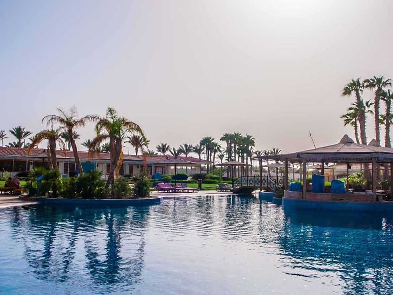 Pool bar with large pool surrounded by lush greenery at Pickalbatros Golf Beach Resort, bars in sharm el sheikh
