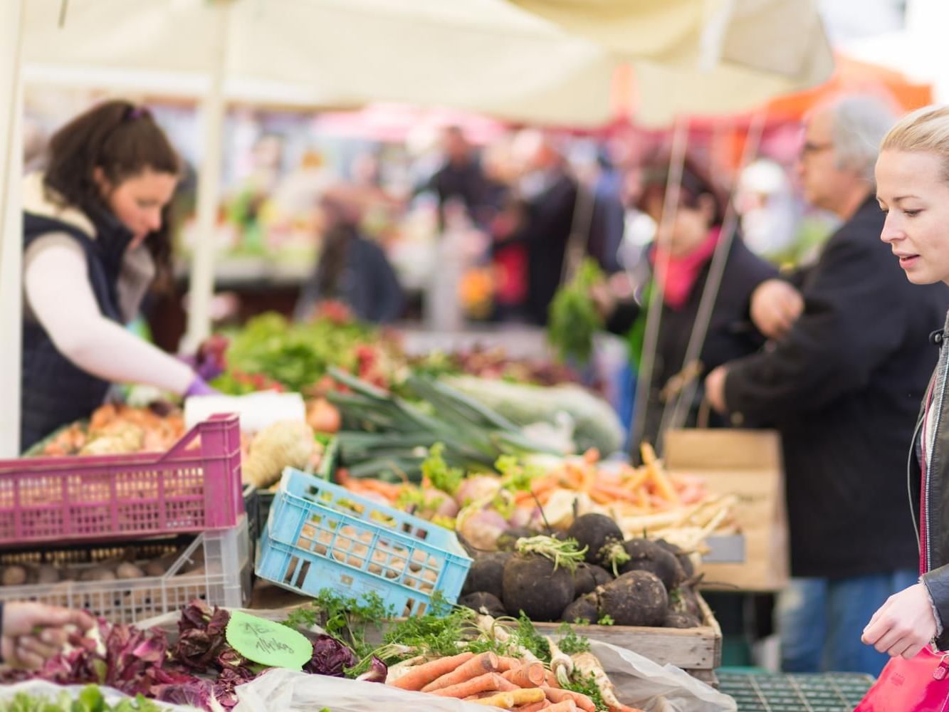 People in a farmer's market shopping for a variety of fresh produce near Meadowmere Resort