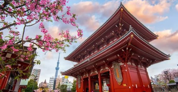 Aerial view of Sensō-ji Temple near Hop Inn Hotel