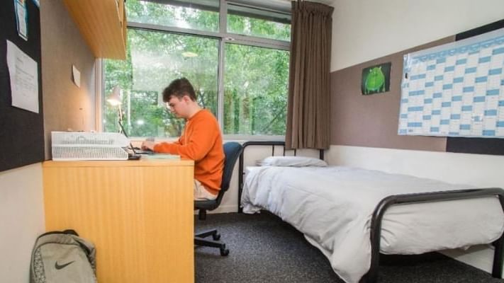 Ilam Apartments - Hinau