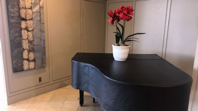 flower pot on black piano at the corner at The Inn of Waterloo