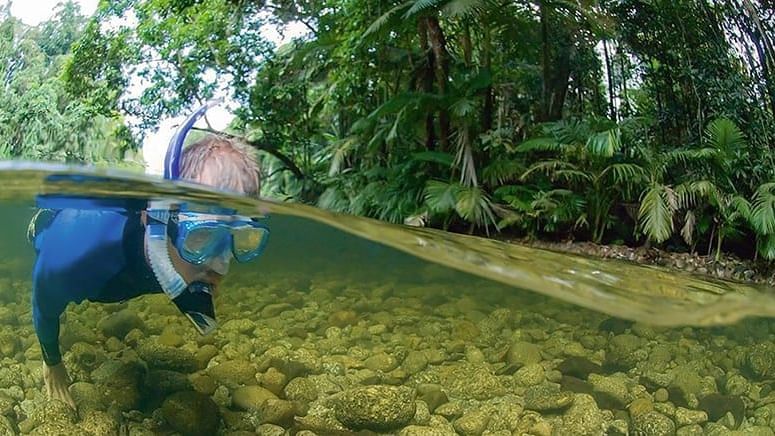Person snorkeling in water with rocky bottom in River Drift Snorkelling near Pullman Port Douglas