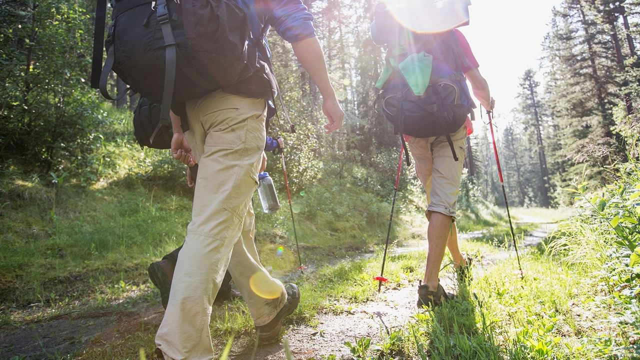 Hikers walking on a trail in the woods near Coast Hinton Hotel