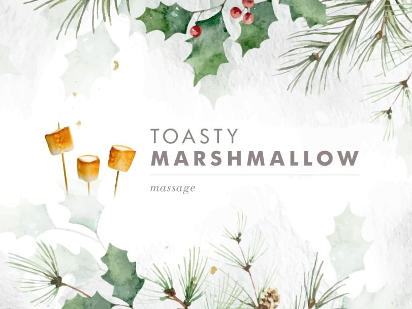 Winter Spa Specials at Reflections Spa and Salon