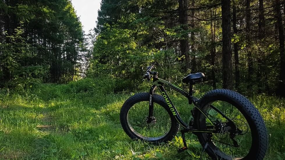 A fat-bike in a forest near Falkensteiner Hotels