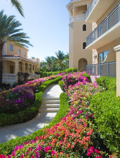 Garden with the entrance of the Somerset On Grace Bay