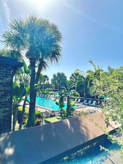 A view of a sparkling blue pool surrounded by white lounge chairs seen through a variety of palm trees and tropical landscaping. 