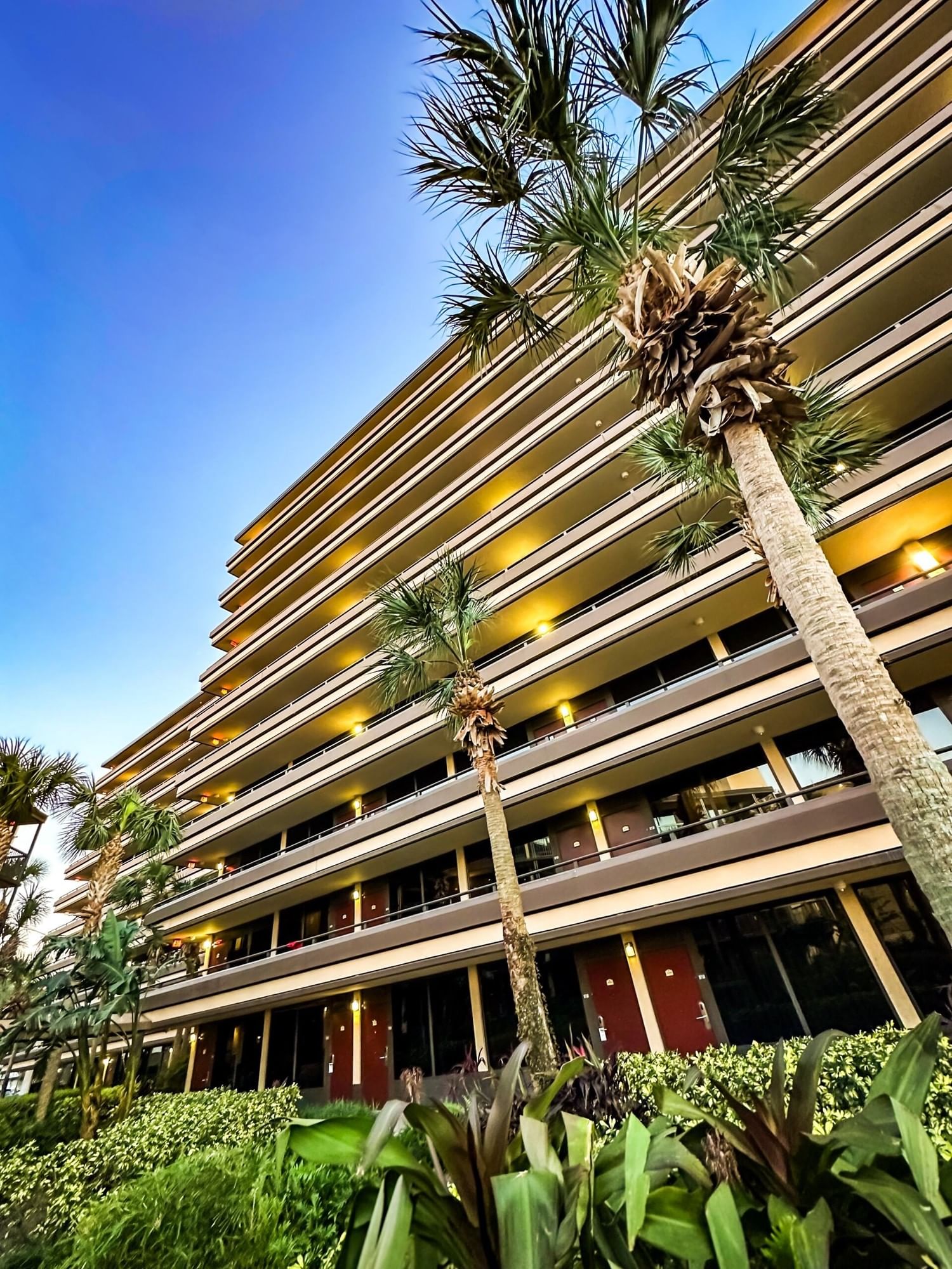 A tall motel-style hotel with glowing lights surrounded by palm trees and tropical foliage. 