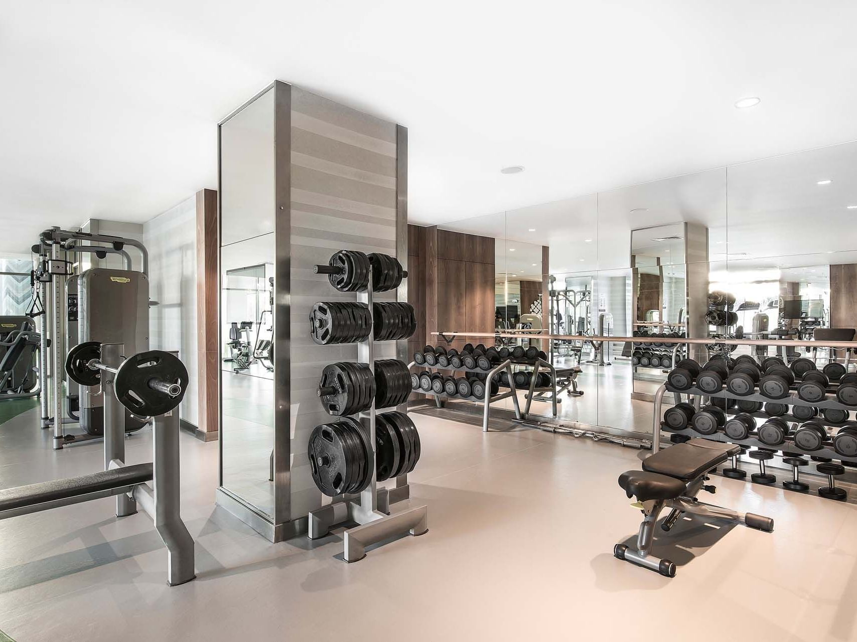 Dumbells and weight discs lined up in BeFine Fitness at Titanic Deluxe Lara