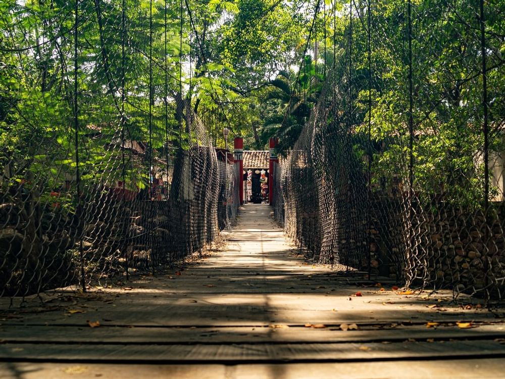 Wood laid pathway in Cuale Island near La Colección Resorts