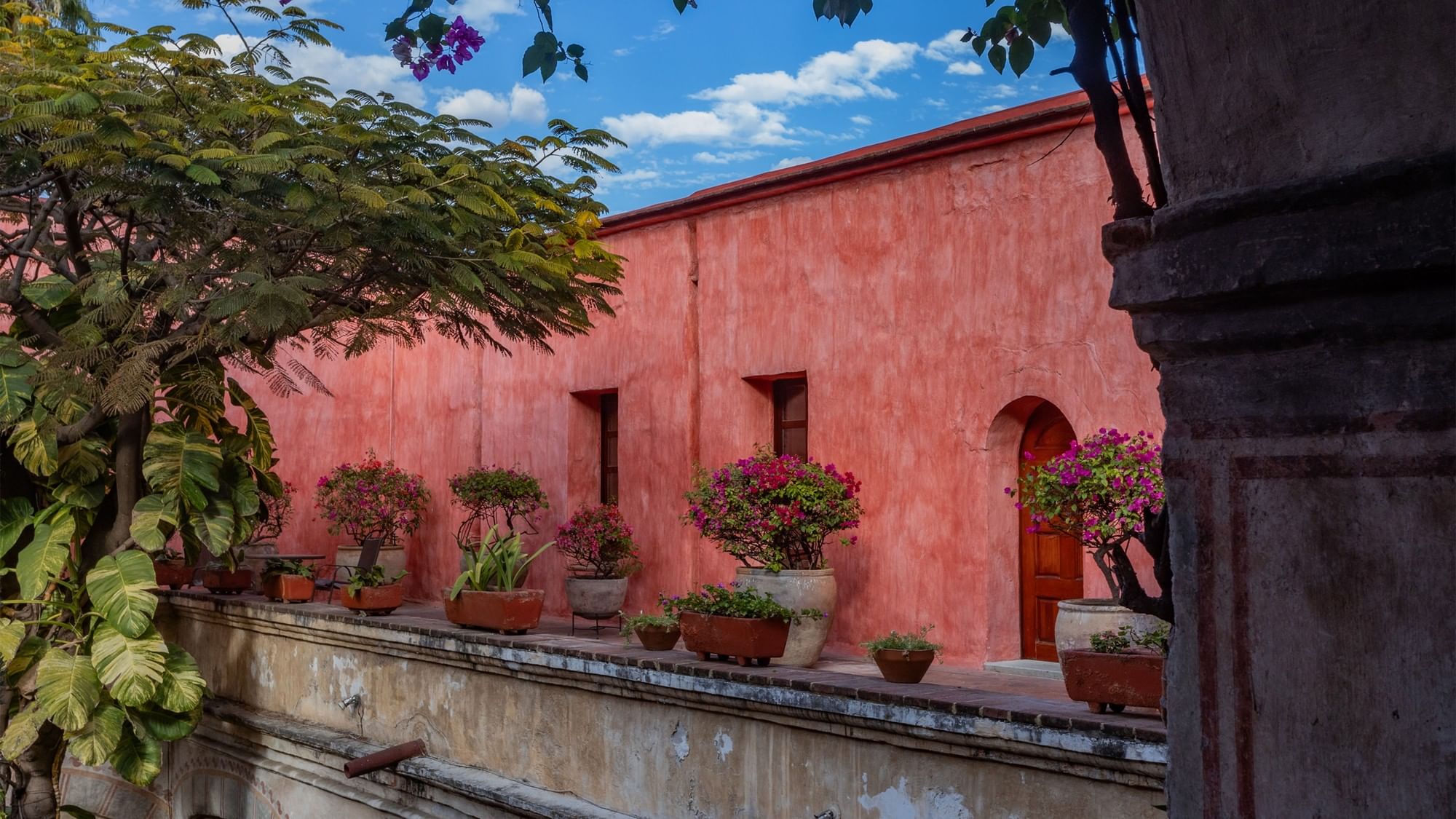 Fila de macetas con flores rosadas junto a un muro rojo rústico en un patio soleado en Quinta Real Oaxaca