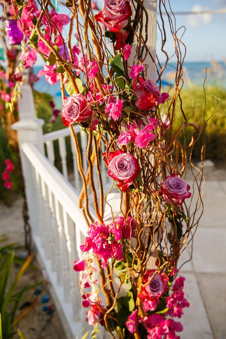 Close up of Decorated arbour at Windsong Resort On The Reef
