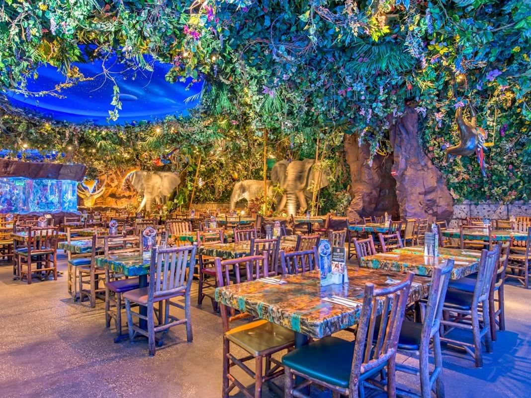 Rainforest Cafe Orlando at Disney Springs