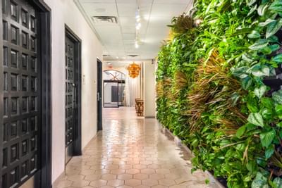 Bright hallway in The Riverwalk Plaza Hotel lobby with a lush vertical garden, black doors, and hexagonal tile flooring